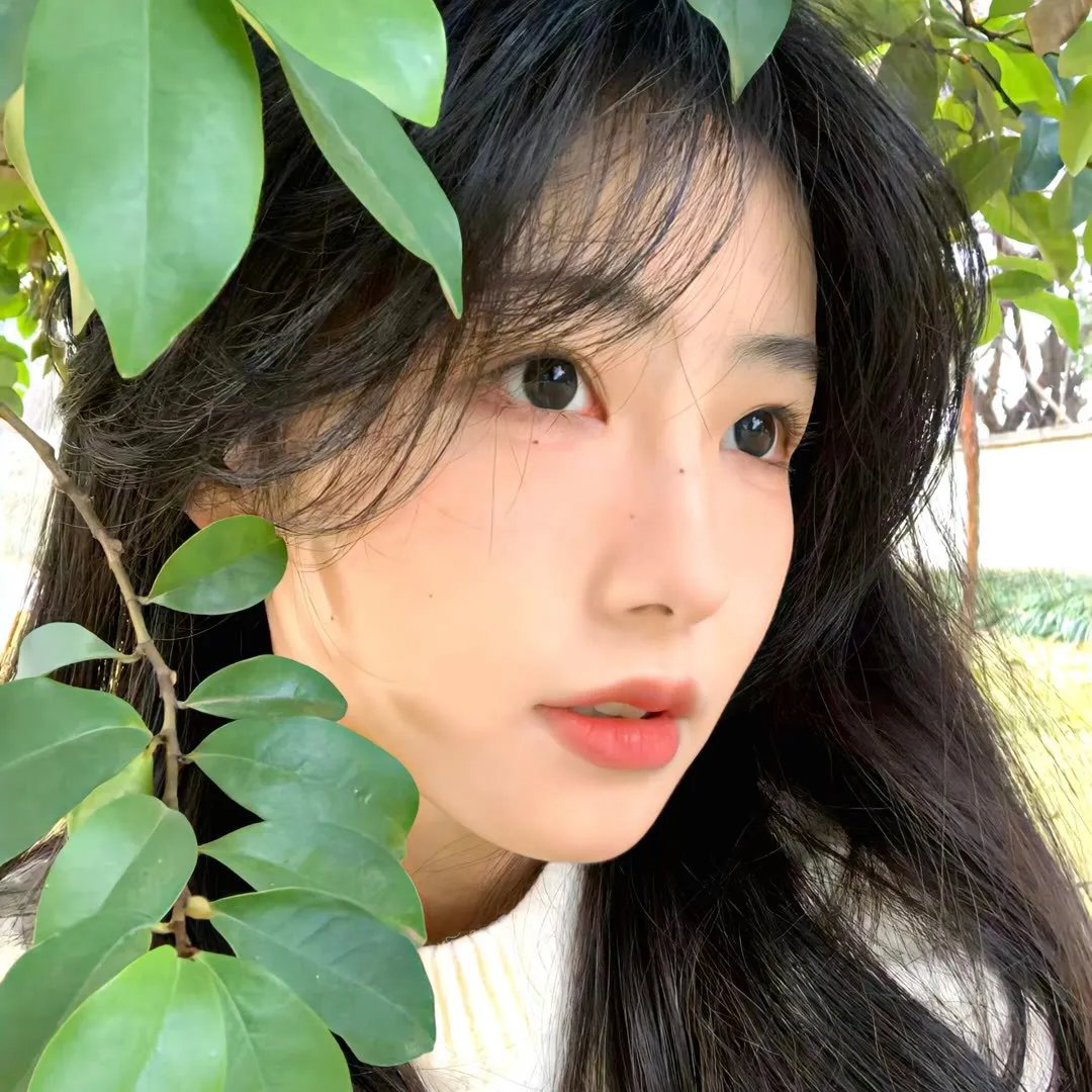 丛林少女之重启
